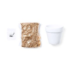 Vaso - Konte – foto 2