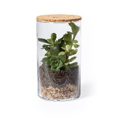 Terrarium - Anymak – foto 2