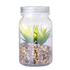 Planta Decorativa - Kyala – foto 2