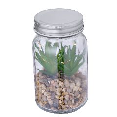 Planta Decorativa - Kyala – foto 3