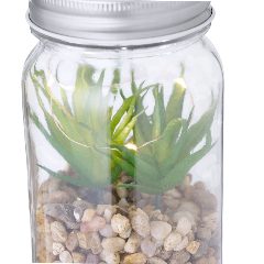 Planta Decorativa - Kyala – foto 4