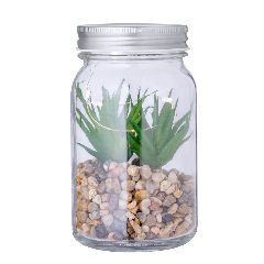Planta Decorativa - Kyala – foto 5