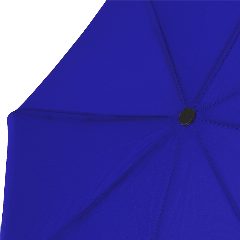 Chapéu de Chuva - Santana – foto 5