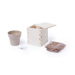 Vaso - Merin – foto 4